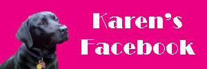 Click to visit Karen's Blog Spot